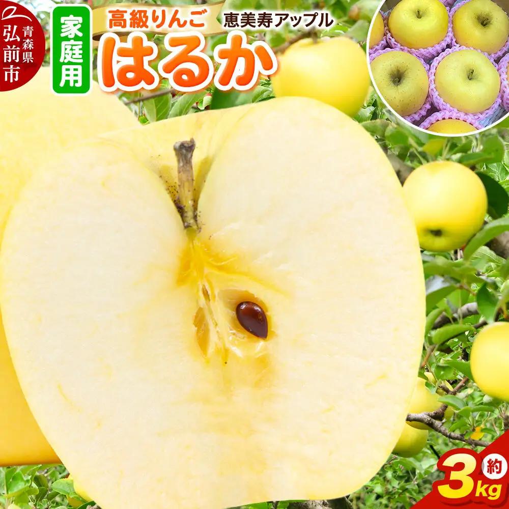 りんご はるか 家庭用 約3kg 先行受付 12月発送 りんご