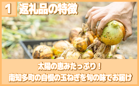 【2027年5-6月出荷】 訳あり 不揃い 玉ねぎ 5kg 先行予約 たまねぎ