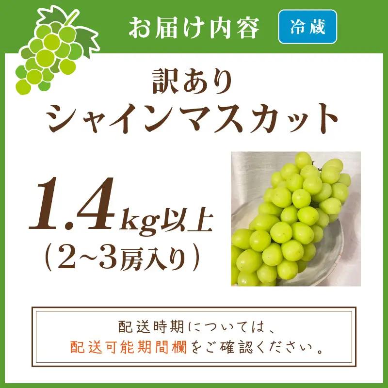 訳ありシャインマスカット 1.4kg以上 | 京丹後市 シャインマスカット