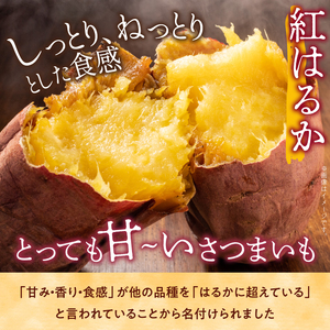 さつまいも 紅はるか 訳ありB品 15kg サツマイモ 甘藷 産出額 日本一 茨城県 鉾田市