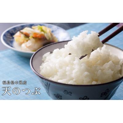 ふるさと納税 須賀川市 令和7年産須賀川市産天のつぶ　精米10kg(5kg×2袋) |  | 01