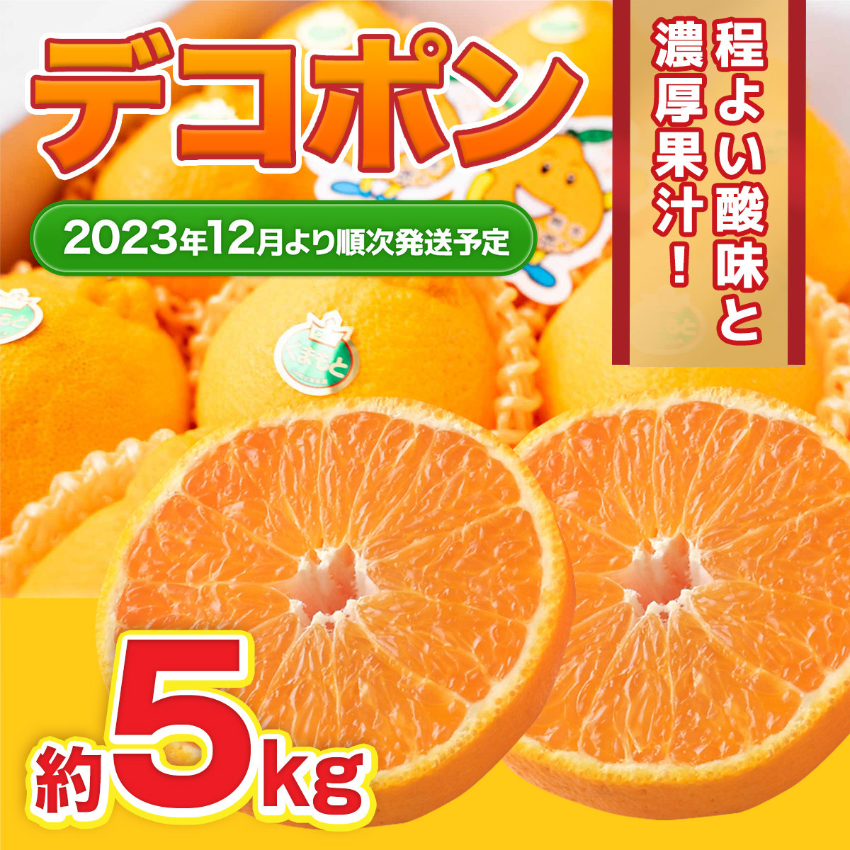 デコポン 約5kg 12玉～20玉