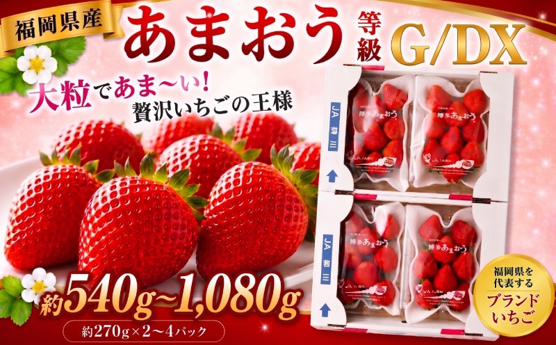
                  【先行予約】【選べる容量＆規格】あまおう 等級G 等級DX 約270g×2~4パック 計約540g~1,080g いちご 苺 果物 フルーツ 【2027年2月上旬～2027年3月下旬発送予定】
                