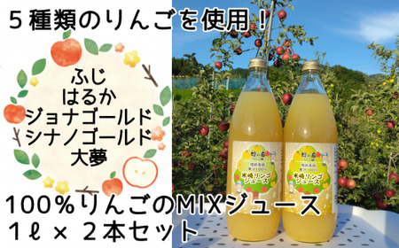 先行予約 【5品種ミックス】果汁100％りんごジュース 1L×2本セット りんごジュース