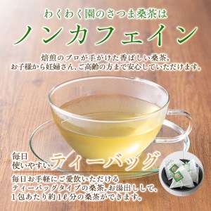 a045 国産！わくわく園桑茶いきいきセット(ティーバッグ)有機栽培の桑を焙煎のプロが手がけた香ばしいノンカフェイン桑茶を6袋合計180パックお届け【わくわく園】