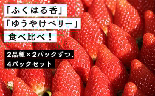 【先行予約】伊賀いちご園のいちご レギュラーパック4パック 1,120g(280g×4パック) 数量限定 | イチゴ いちご 苺 ストロベリー strawberry  ふくはる香 ゆうやけベリー フルーツ ギフト 贈答用