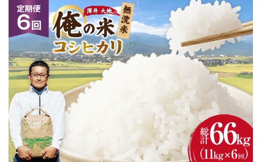 【俺の米】 米 定期便 6回 令和8年 コシヒカリ 無洗米 11kg 計 66kg [薄井 大地 長野県 池田町 48110945] お米 おこめ こめ コメ 白米 ご飯 ごはん 定期 6ヶ月  おにぎり こしひかり 美味しい もっちり 甘い 農家 直送 10キロ 60キロ 以上 令和8年産 先行予約 新米