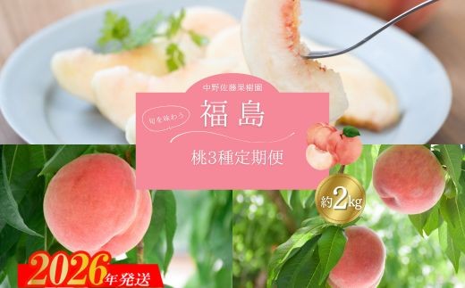 No.2791中野/佐藤果樹園 福島の桃３種定期便 各約2kg【2026年発送 先行予約】