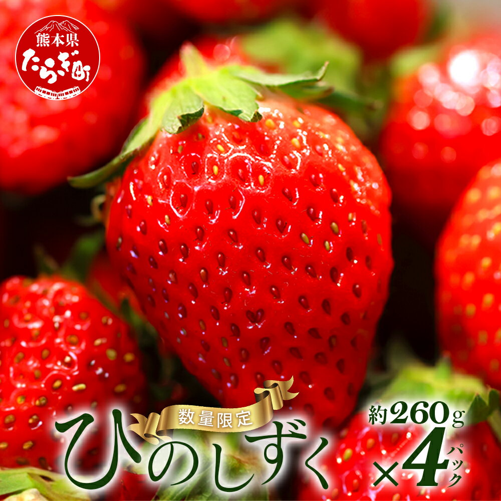 【ふるさと納税】《先行予約》熊本県産 いちご【ひのしずく】約1040g (260g×4) 坂下農園 産地直送 国産 新鮮 フレッシュ イチゴ 4パック 1.04kg 苺 フルーツ 果物 春 名産 熊本 多良木町 ビタミン 旬 いちご フルーツ 果物 くだもの 果実 熊本県 多良木町 送料無料