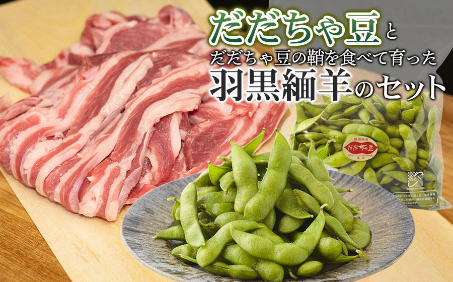 だだちゃ豆とだだちゃ豆の鞘を食べて育った羽黒緬羊のセット　【肉バルＹＡＫＵ禄】