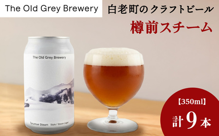 【白老町のクラフトビール】「樽前スチーム」（計9本）《The Old Grey Brewery》