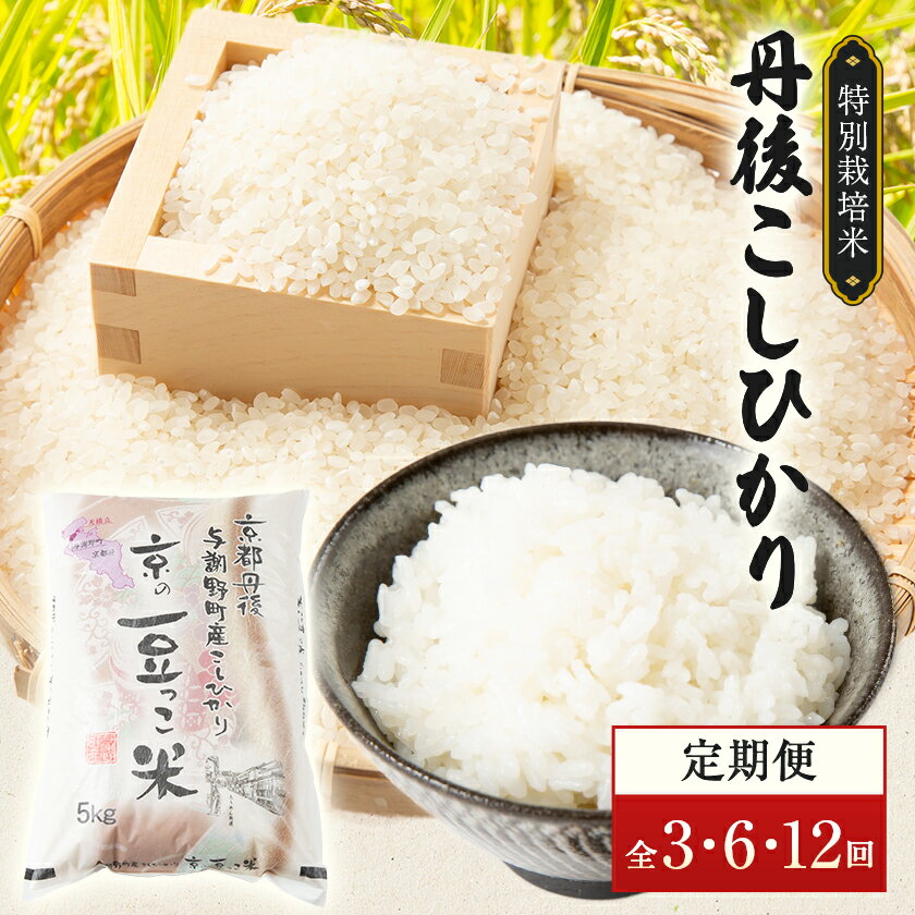 【ふるさと納税】京都府与謝野町産 丹後コシヒカリ 精米5kg　特別栽培米 京の豆っこ米(全3回/全6回/全12回)【G4083193】