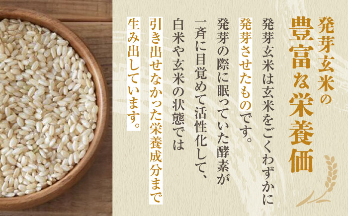 【金賞受賞米使用】くまもとの元気！発芽玄米 2kg×2袋【株式会社 れんげ・カンパニー】 [ZAX003]