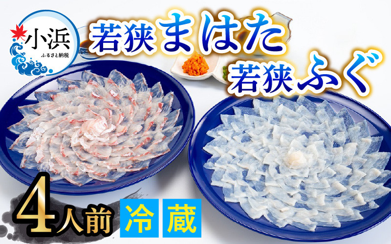 
【着日指定】 【冷蔵でお届け】 「若狭ふぐのてっさ」 と 「若狭まはたのお刺身」 セット 【4人前】
