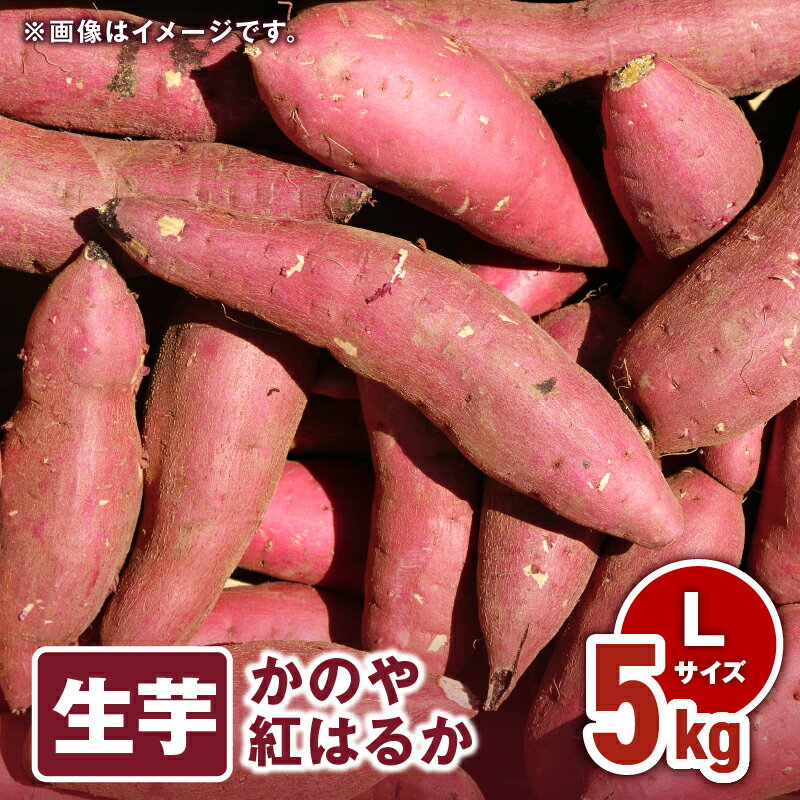 【ふるさと納税】 「かのや紅はるか」生芋 Lサイズ 5kg（1個当たり約200g〜340g、約20個前後） 定められた栽培基準等をクリアした濃厚でしっとりとした食感の紅はるか【さつまいも特集】【有限会社南橋商事】