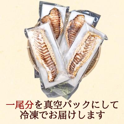 ふるさと納税 須崎市 乙女鯛炙り藁焼きタタキ風(皮無しロイン) |  | 02