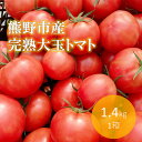 【ふるさと納税】熊野薬草園の 大玉トマト（1.4kg）トマト 完熟トマト 甘い 大きい 野菜 果肉が厚い 甘酸っぱい 甘い 冬限定 熊野市