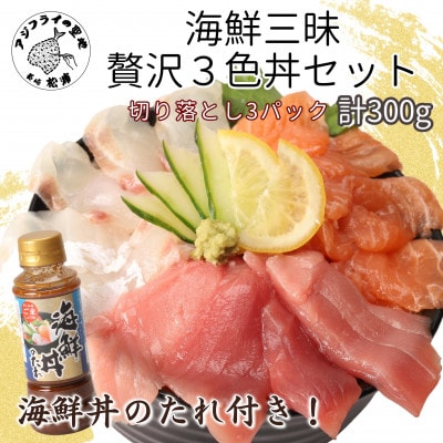 海鮮丼のたれ付!海鮮三昧贅沢3色丼セット100g×3パック【配送不可地域：離島】【1463331】