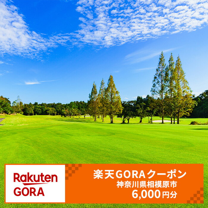 【ふるさと納税】神奈川県 相模原市の対象ゴルフ場で使える 楽天GORAクーポン 寄付額20,000円