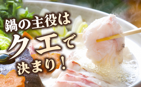 クエ鍋 切身 セット《対馬市》【いか吉工房】[WBO001]新鮮 肉厚 クエ 魚 海鮮 鍋 正月 コダワリクエ鍋 こだわりクエ鍋 おすすめクエ鍋 おススメクエ鍋 人気クエ鍋 定番クエ鍋 通販クエ鍋 お