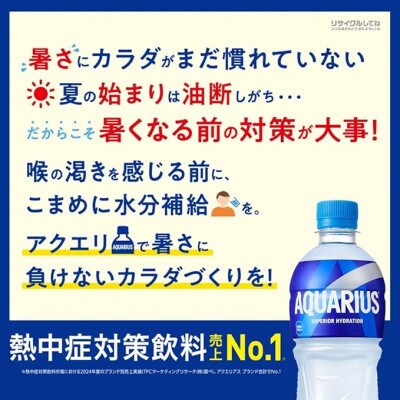 アクエリアス500mlPET  24本入