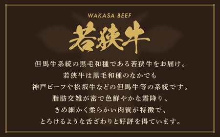 若狭牛 極上ヒレステーキ 260g (130g×2枚）【牛肉 黒毛和牛 黒毛和種 黒毛 和牛 国産 冷凍 ヒレ肉 ステーキ バーべキュー BBQ グルメ】 [m15-b002]