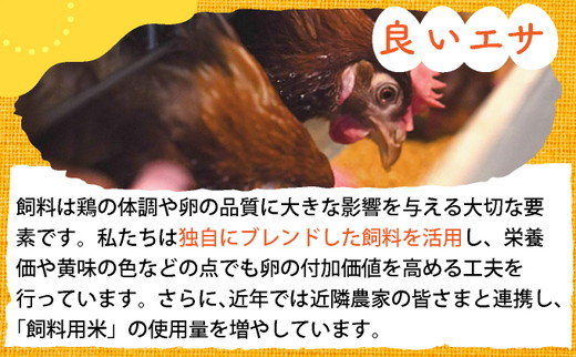 【12回定期便】新鮮 卵 120個（100個+卵割れ保証20個）(10個×12パック)京都丹波『霧の卵』三和鶏園 ≪たまご タマゴ 玉子 生卵 鶏卵 小分け 贈答 ギフト ふるさと納税 卵 直送 冷蔵