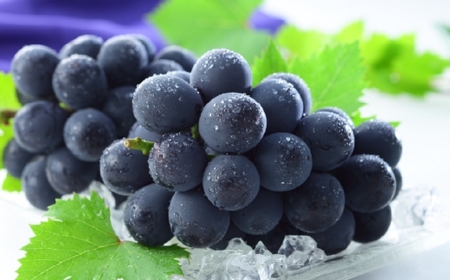 岡山県産 ニューピオーネ 約600g （ 約600g×1房 ） ぶどう ブドウ 葡萄 くだもの 果物 果実 フルーツ 種なし 種無し 国産 【 2026年6月下旬～7月下旬発送予定 】