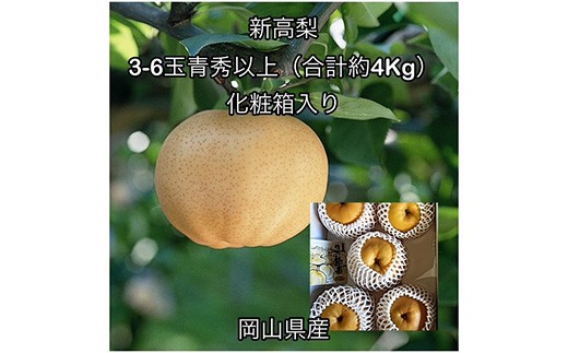 
                  新高梨 3～6玉 青秀以上（約4.0kg） 岡山県産
                