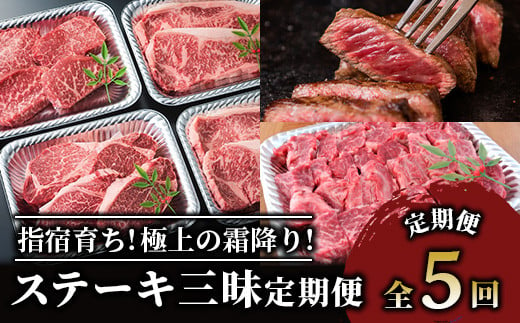 
【全５回定期便】 大満足 ステーキ 三昧 定期便 (Meat you/Z-047) 黒毛 姫牛 A4ランク リブロース サーロイン フイレ モモ サイコロステーキ 国産 和牛 牛肉 黒毛和牛
