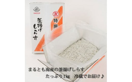 
C6036n_【冷蔵】 茹でたて 釜揚げしらす 1kg 箱入り 紀州湯浅湾 直送！
