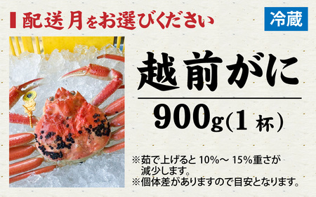 【先行予約】まっ田の越前がに 900g×1杯【11月～3月配送】[J-007007]