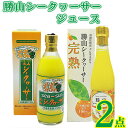 【ふるさと納税】勝山シークヮーサージュース　2点セット