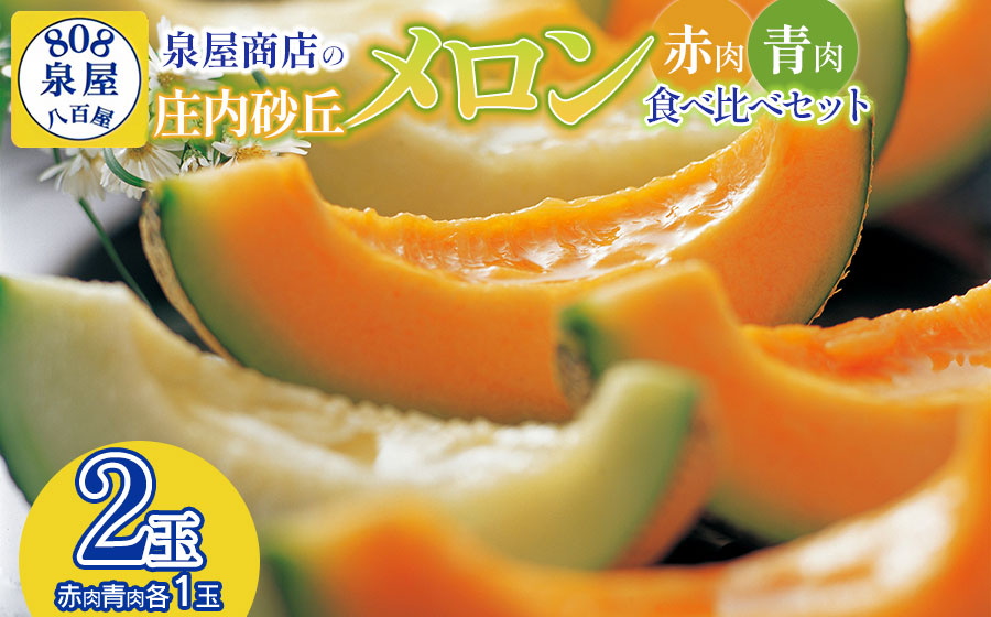 【令和8年産先行予約】泉屋商店の庄内砂丘メロン 赤肉・青肉 食べ比べセット 2玉（各1玉入）　K-822