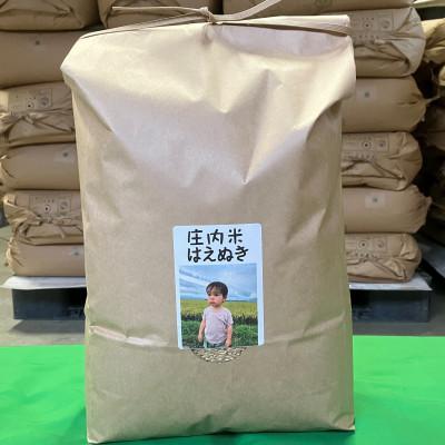 ふるさと納税 三川町 【令和7年産】ecofarmすがわらの庄内米はえぬき(精米)10kg(5kg×2袋)PS5-021