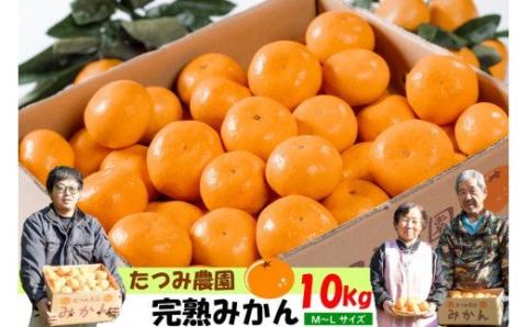N-151 辰見農園の完熟みかん　１０ｋｇ