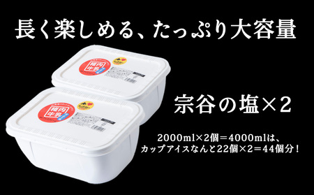 【業務用】稚内牛乳アイスクリーム2000ml宗谷の塩×宗谷の塩2個セット【配送不可地域：離島・沖縄県】
