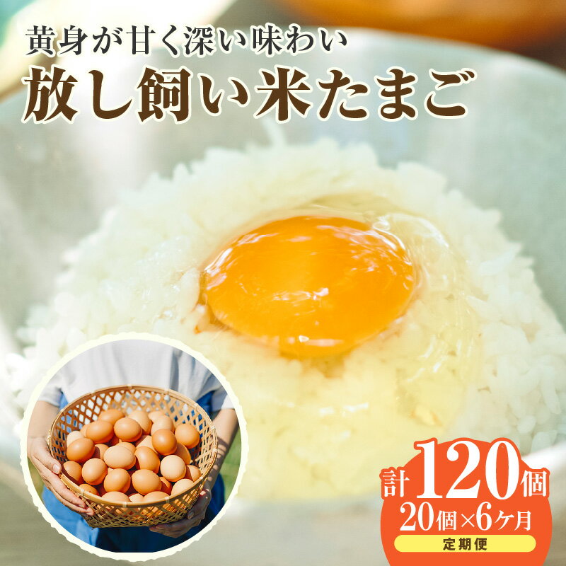 【ふるさと納税】【6ヵ月定期便】放し飼い 米たまご 15個+5個保証【計20個】 農家直送 赤たまご 新鮮 卵 純植物性飼料 飼料にこだわった 卵かけご飯 卵 定期便 6回 送料無料