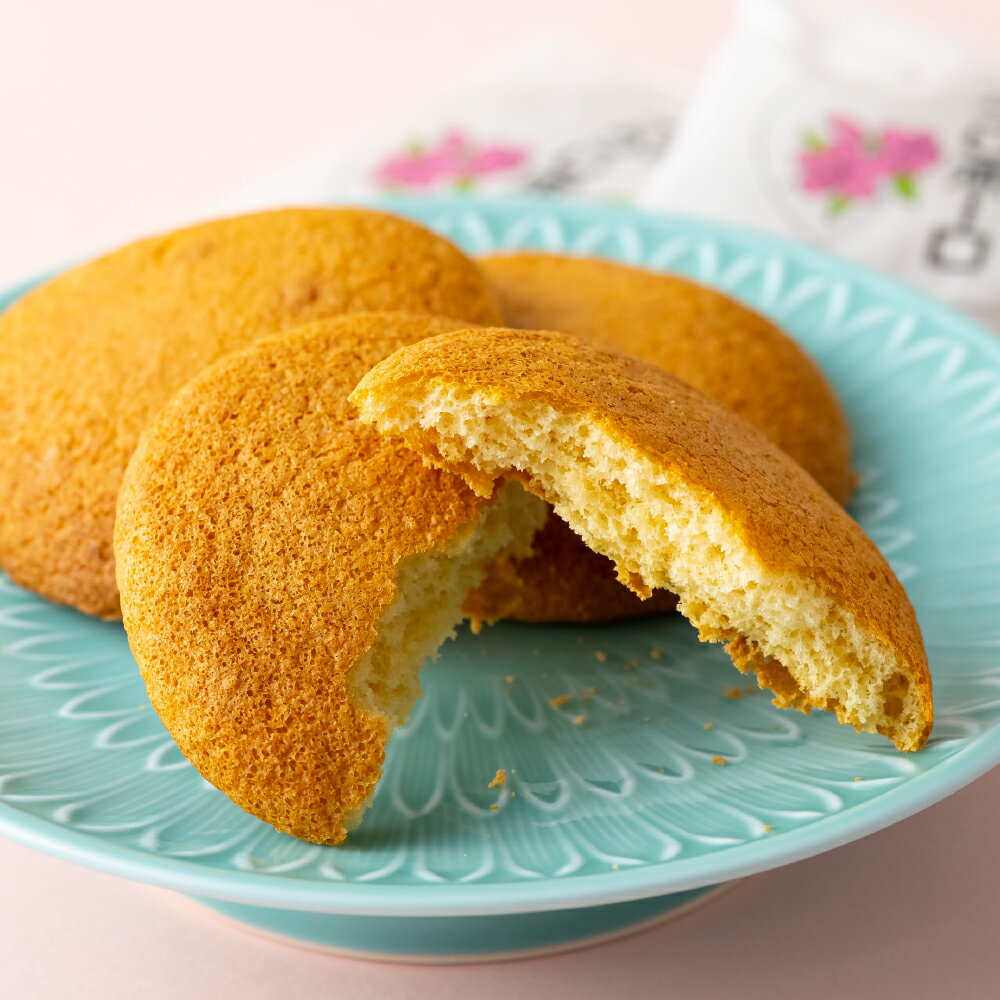 【ふるさと納税】長串山つつじボーロ(つつじまつり入場料大人4人分券)セット
