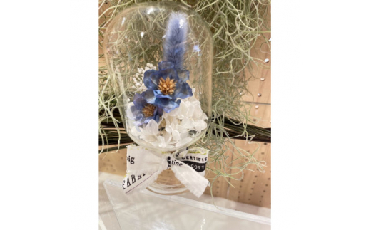 
＜青系＞天球bottle flowers　Msize【1307792】
