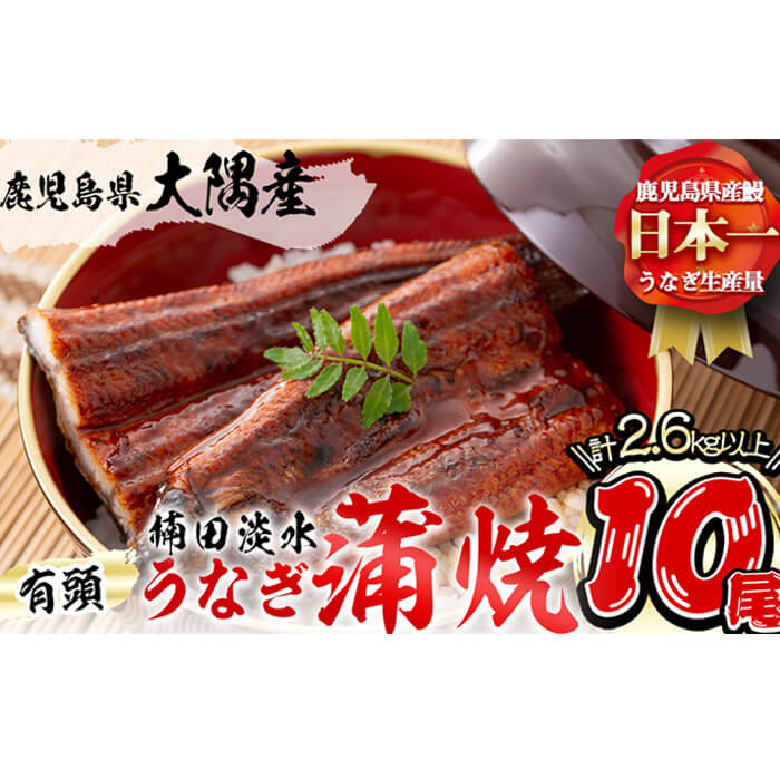 楠田の極うなぎ 蒲焼き 260g以上×10尾(計2.6kg以上) wa24-003