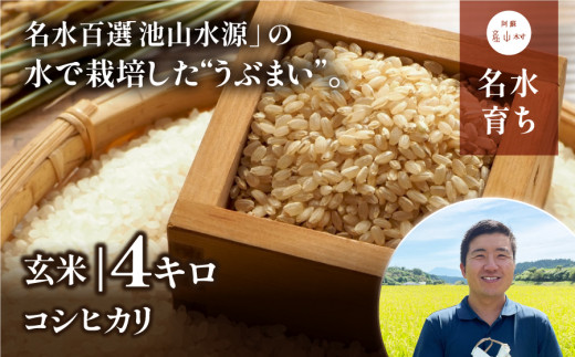 【令和６年産新米】うぶまい(コシヒカリ玄米)4kg〈阿蘇の名水　池山水源米〉