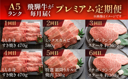 【定期便 12回】 A5 飛騨牛 天狗 牛肉 (ステーキ / 焼き肉 / すき焼き /希少部位 赤身 / 霜降り) 1年間 お楽しみ サーロイン カルビ イチボ ランプ もも 肩ロース肉 希少部位 1