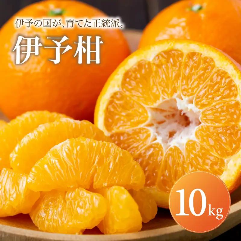 伊予柑 家庭用 10kg 【2027年1月上旬頃から順次発送】 | みかん ミカン mikan みかん 蜜柑 訳ありフルーツ 柑橘 果物 おすすめ お勧め お取り寄せ ギフト 愛媛県 松山市 【MKN057】