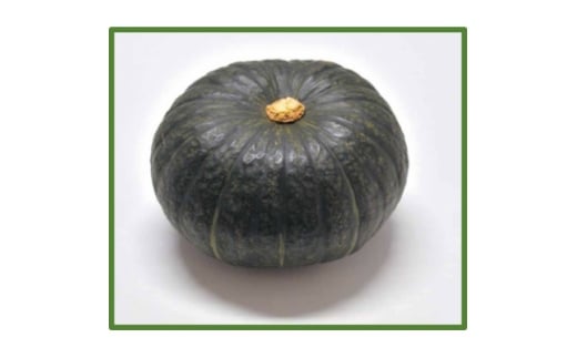 大潟村産かぼちゃ「くり大将」約2.5kg【1629936】