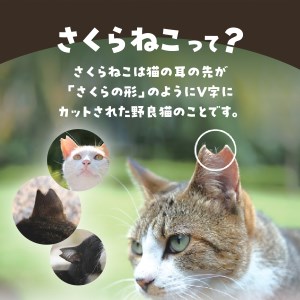 メール便発送【訳ありコーヒー定期便】さくらねこ支援コーヒーセット（豆）3ヶ月  珈琲 ブレンド コーヒー