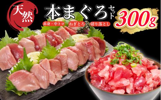 天然本まぐろ ネギトロ・切り落としセット 300g(100g×3P） マグロ ネギトロ 本まぐろ 中とろ 赤身 天然 鮪 小分け 冷凍 刺身 漬け 晩酌 寿司 ユッケ マグロ丼 ねぎとろ 海鮮