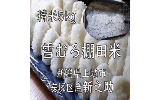 
                  令和7年 新潟県産 棚田米 新之助 精白米 5kg 5キロ 雪中貯蔵 雪むろ しんのすけ 精米 お米 こめ 新潟 上越 米 送料無料 手づくり百人協同組合
                