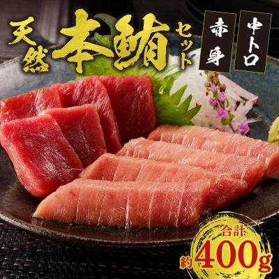 ふるさと納税 焼津市 『まぐろの魚二』天然本鮪中トロ・赤身約400gセット(a17-020) |  | 01