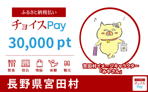 
宮田村チョイスPay 30,000pt（1pt＝1円）【会員限定のお礼の品】
